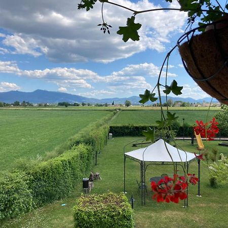 Agriturismo Il Casale Grande Konuk evi Beroide Dış mekan fotoğraf