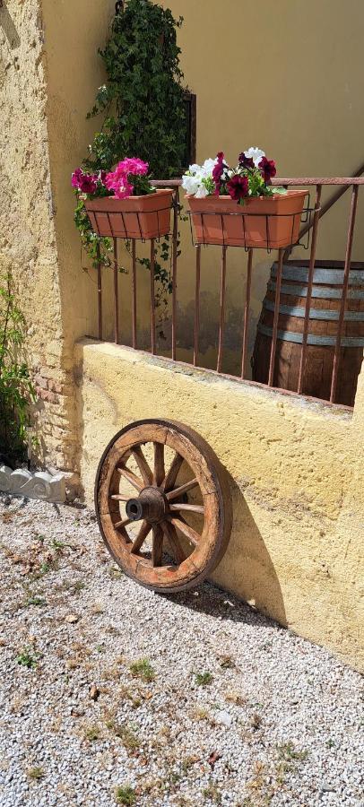 Agriturismo Il Casale Grande Konuk evi Beroide Dış mekan fotoğraf